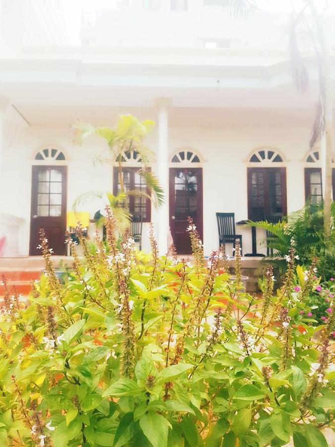 Bien Dua Backpacker Hotel Фан Тиет Екстериор снимка