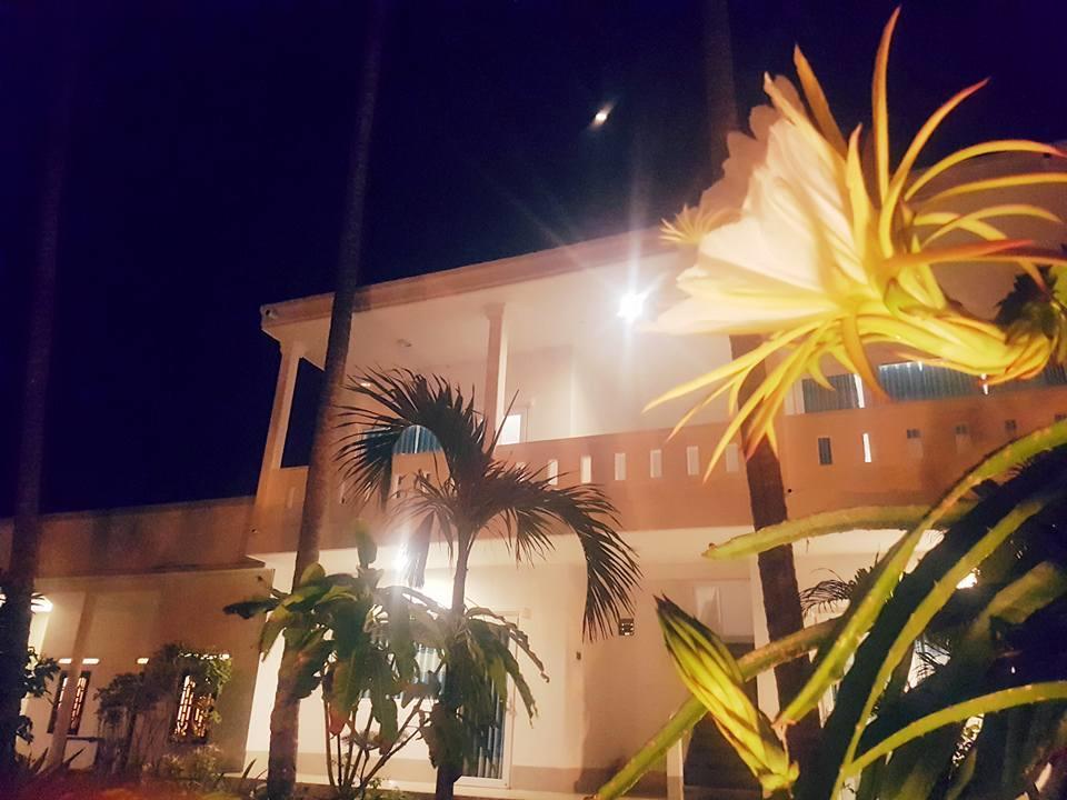 Bien Dua Backpacker Hotel Фан Тиет Екстериор снимка